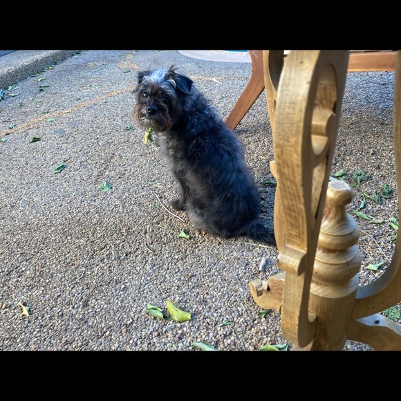 Meet your Posher, Renee - Picture 2 of 2